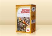 Почки тополя черного